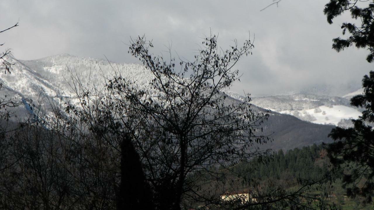 Borgo Della Rocca Bed and Breakfast Montemurlo Buitenkant foto